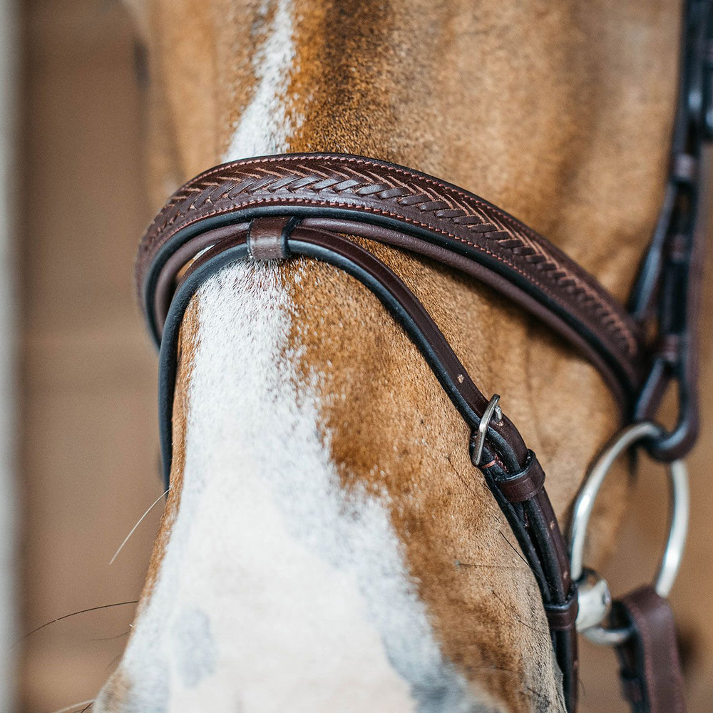 Dyon Flash Combination Snaffle Bridle Brown