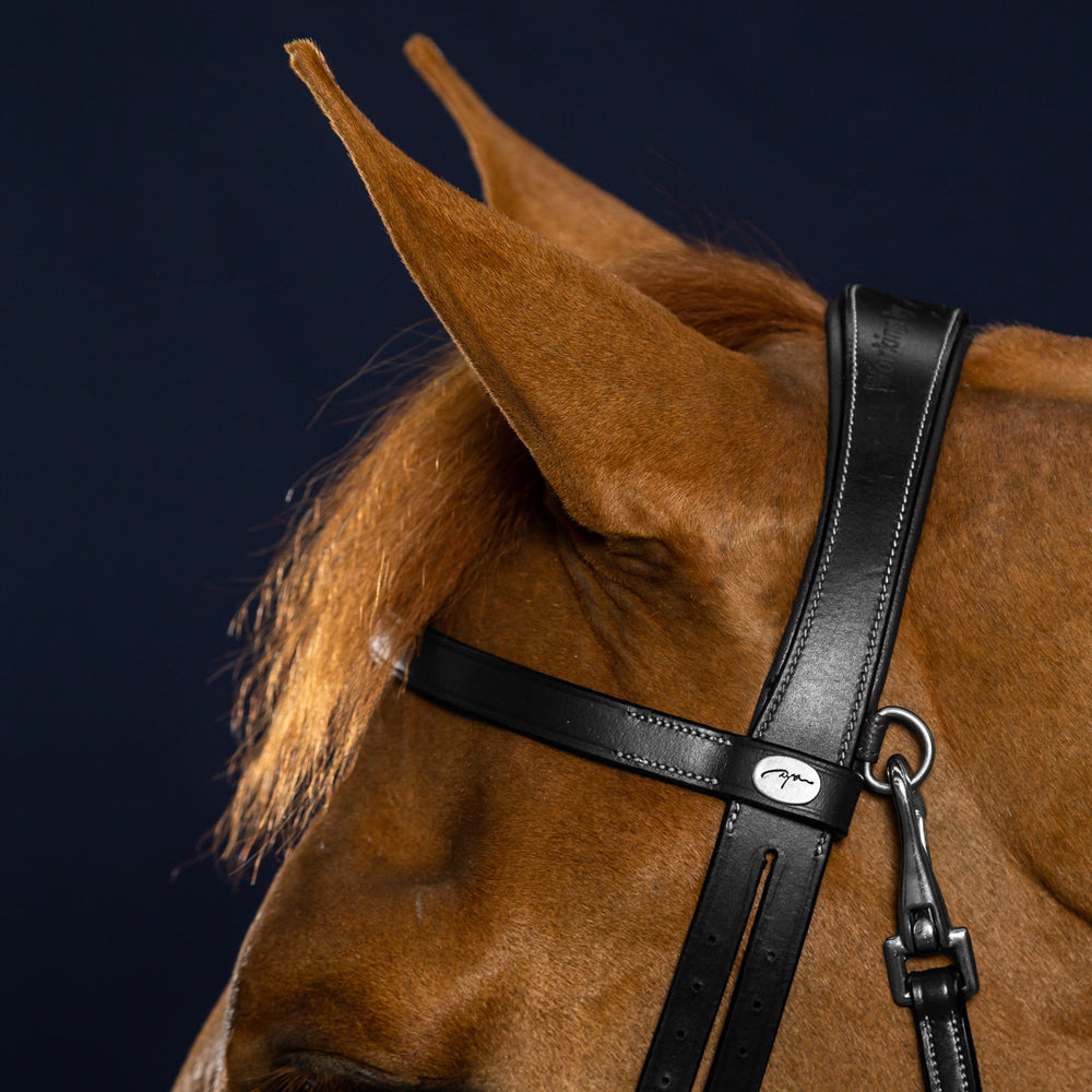 Dyon Wide Combination Noseband Bridle New English Braided Pull Back Black Leather