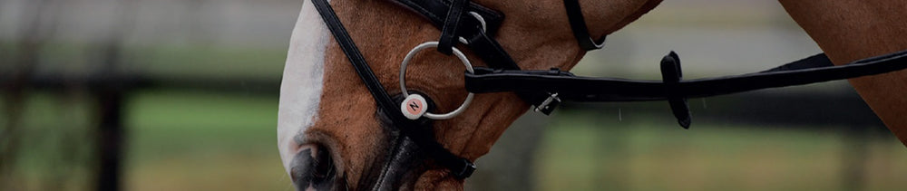 Nathe Nathe Horse Bits | Nathe Snaffle Bits & Equiport Equestrian