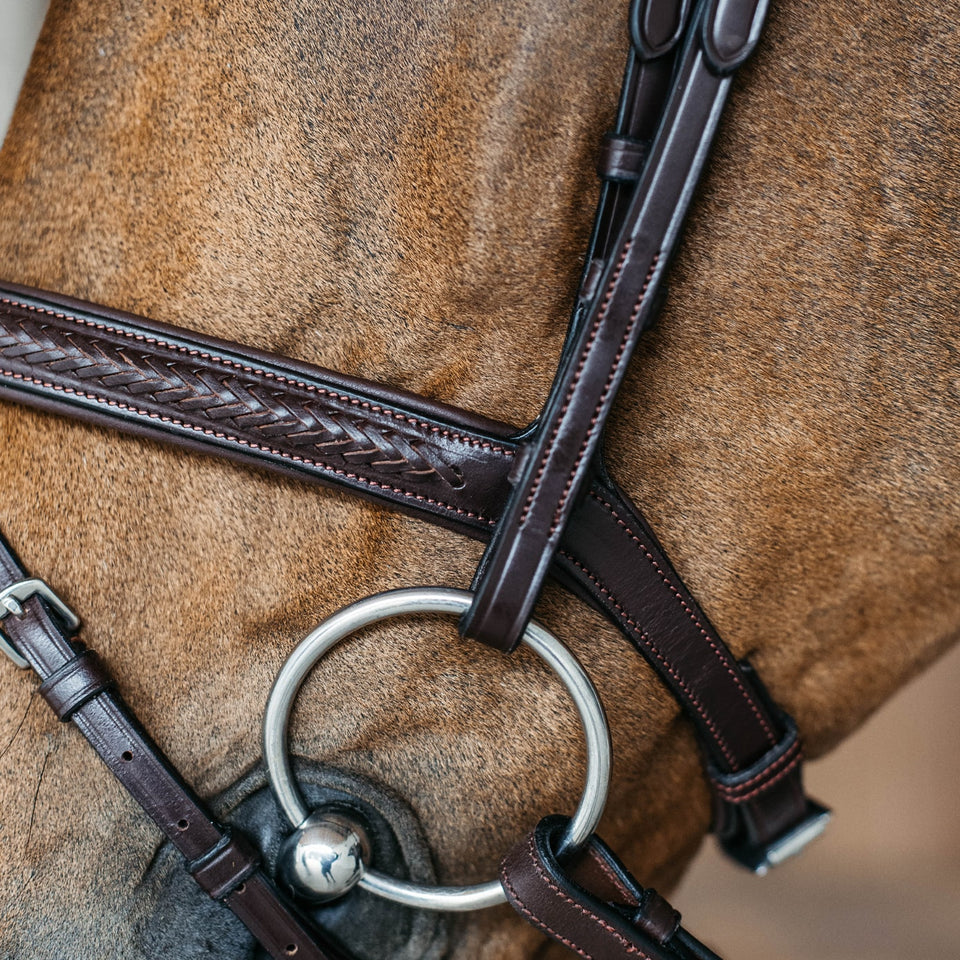 Dy'on New English Plaited Flash Bridle - Brown