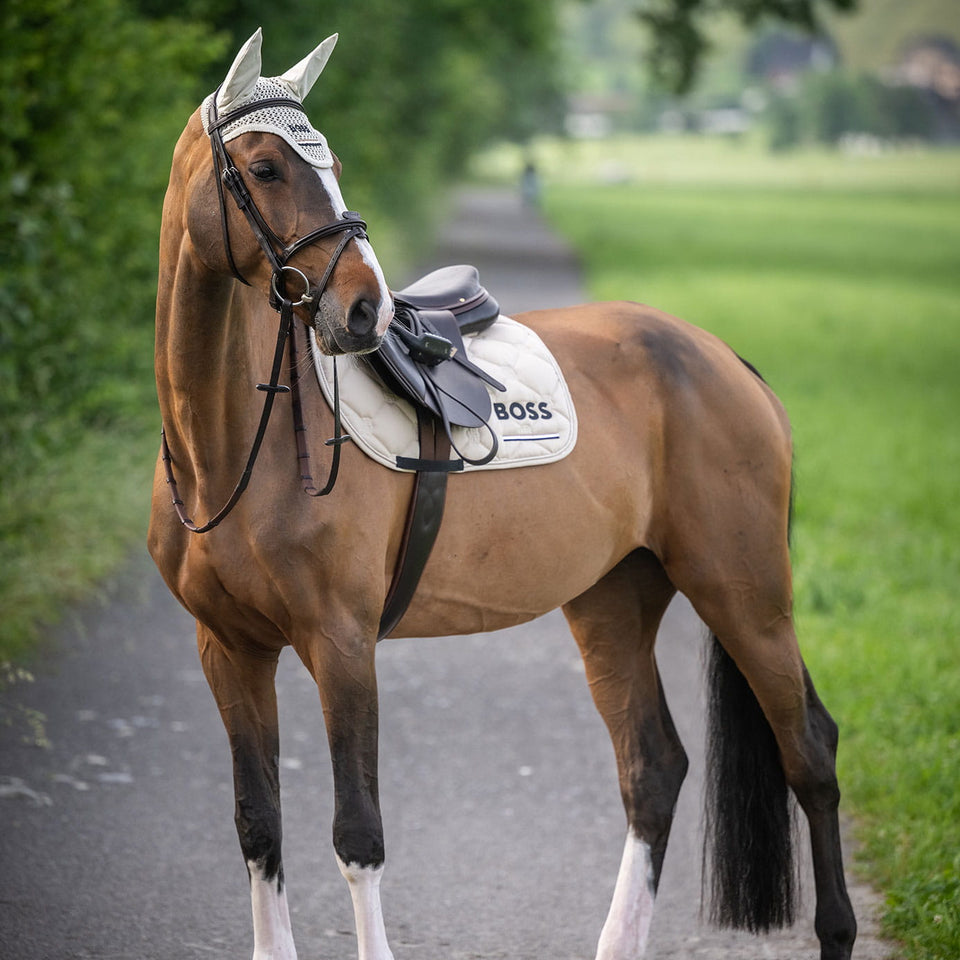 BOSS Equestrian Cheltenham Tape Jumping Saddle Cloth - Pumice