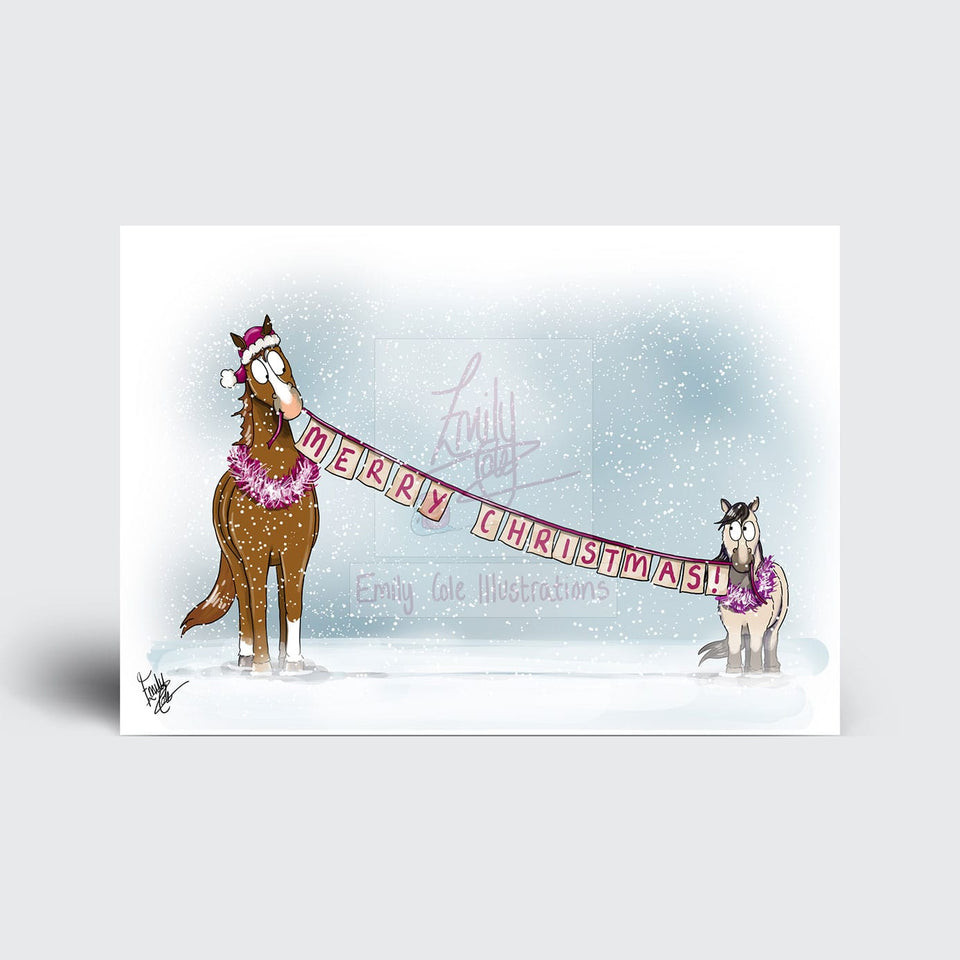 Emily Cole 'The Companion Pony' Christmas Card Set (Pack of 10)