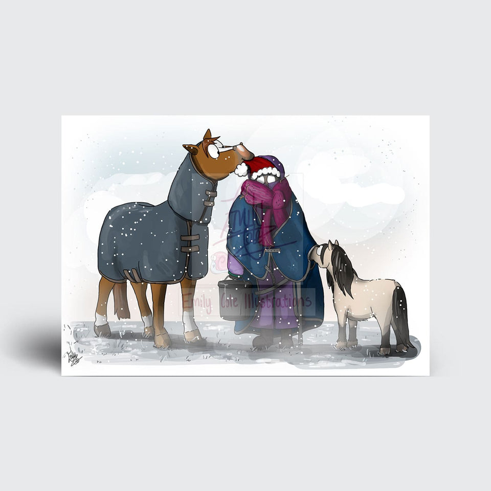 Emily Cole 'The Companion Pony' Christmas Card Set (Pack of 10)