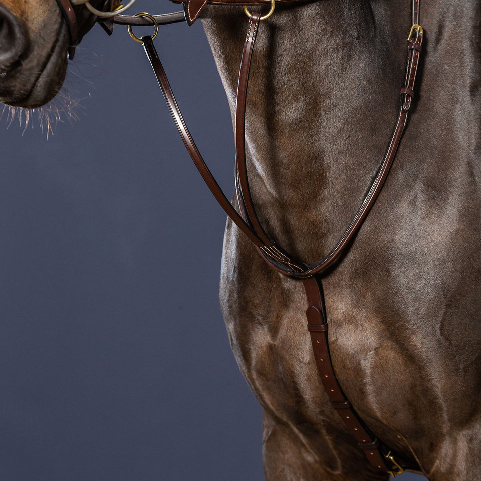 Dy'on D Collection Running Martingale - Brown
