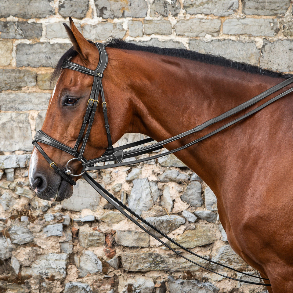 Dy'on D Collection Full Leather Draw Reins - Black