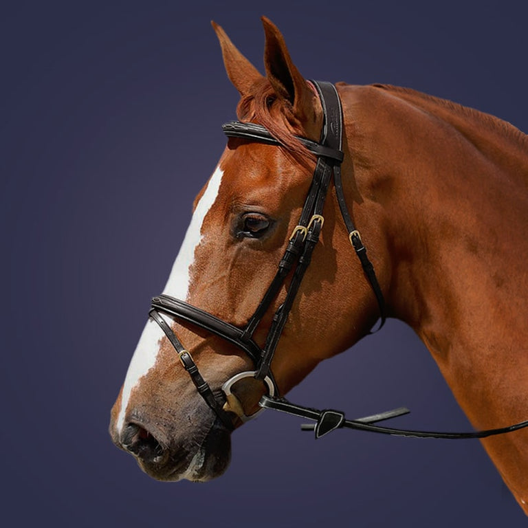 Dy'on Collection Flash Noseband Bridle B131 - Black