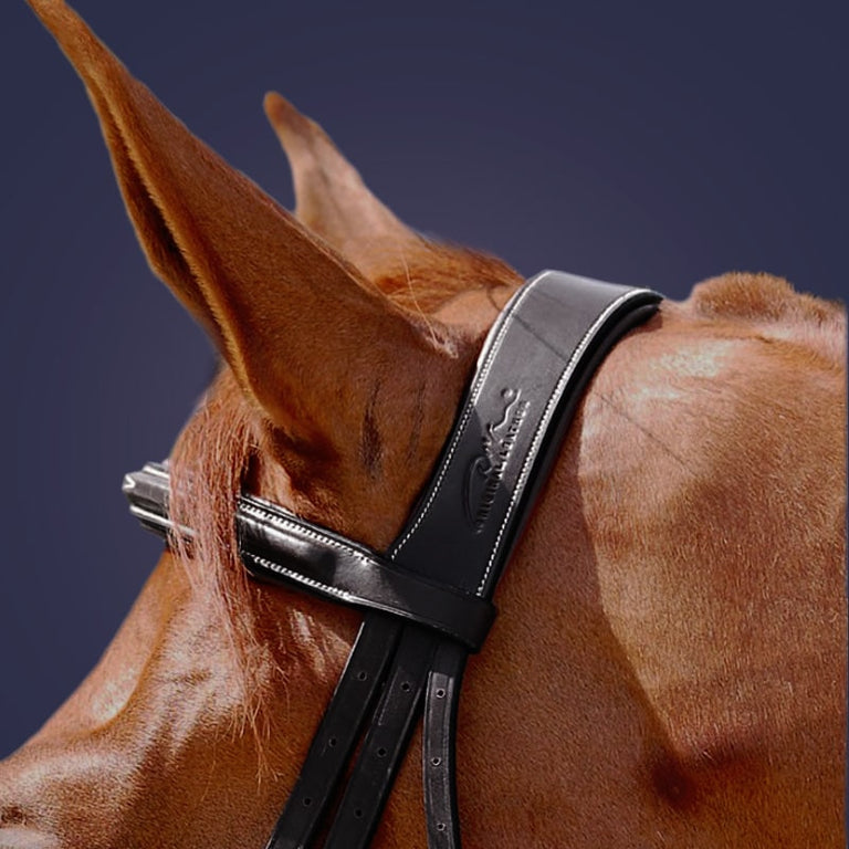 Dy'on Collection Flash Noseband Bridle B131 - Black