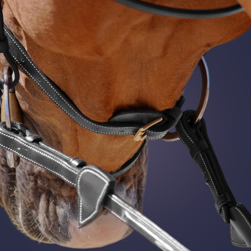 Dy'on Collection Flash Noseband Bridle B131 - Black