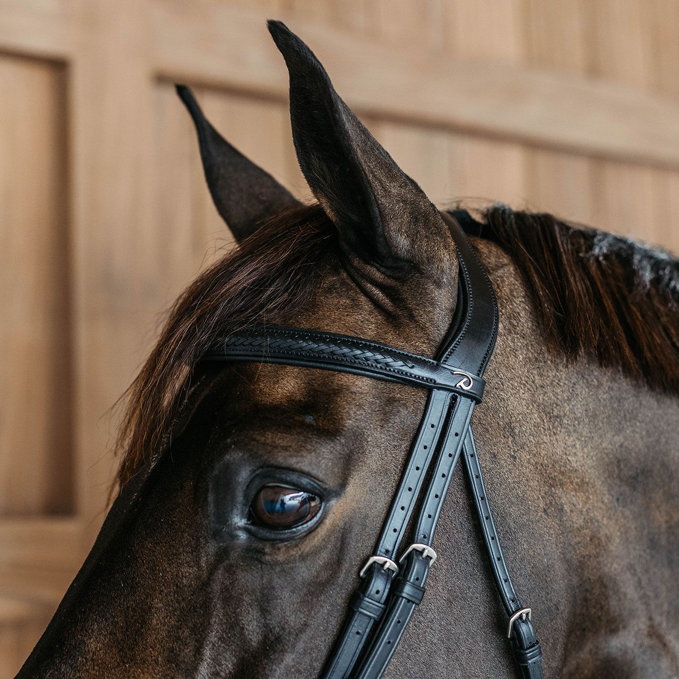 David Dyer Saddles - Le Mieux Kudos Work Bridle David Dyer Saddles - Le Mieux Kudos Work Bridle