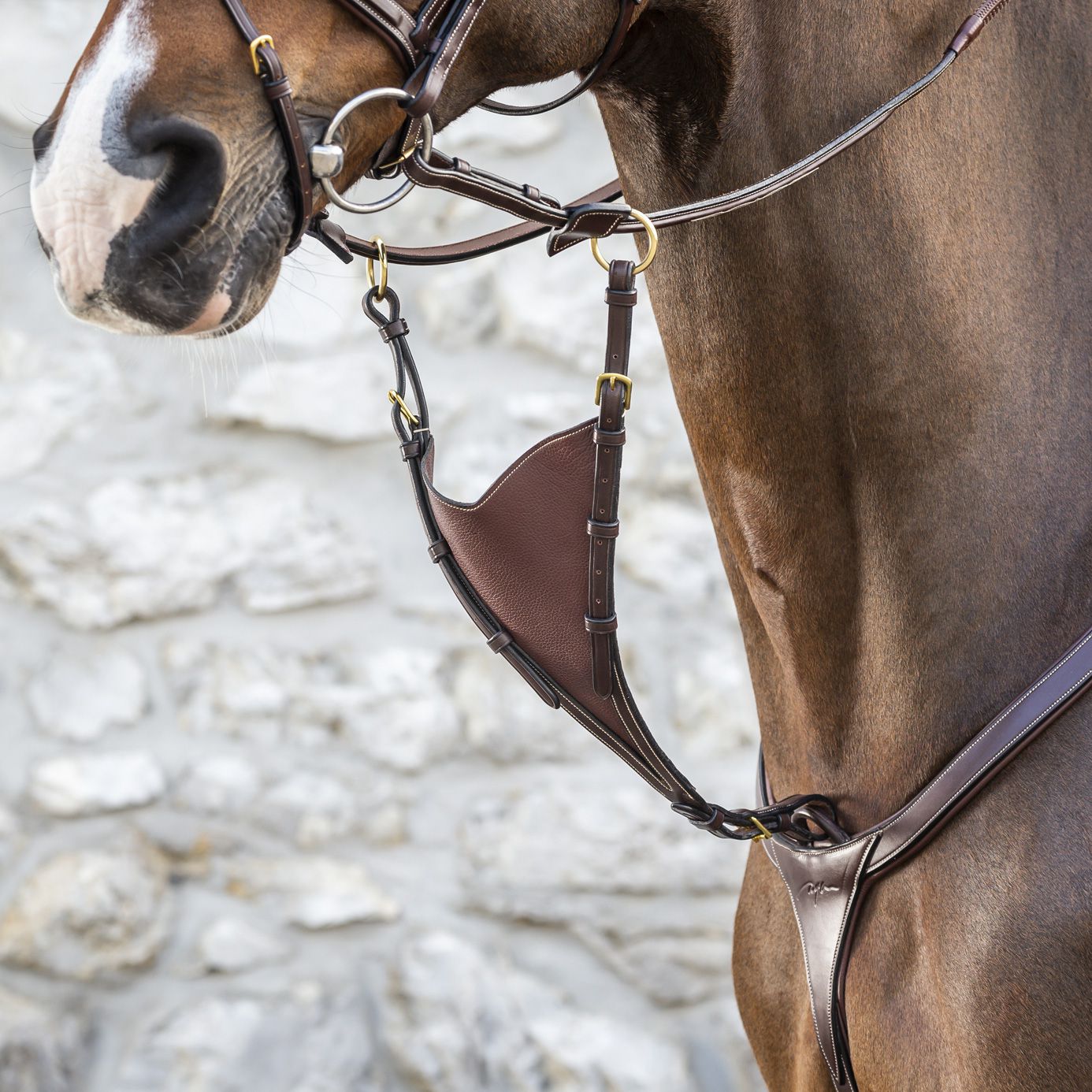 How To Fit A Bib Martingale at Amanda Worthen blog How To Fit A Bib Martingale at Amanda Worthen blog