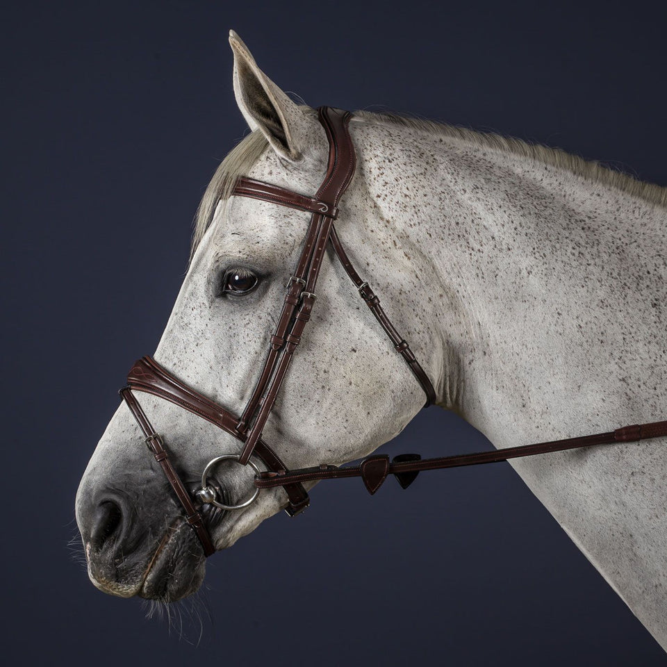 Dy'on New English Anatomic Flash Noseband Bridle - Brown