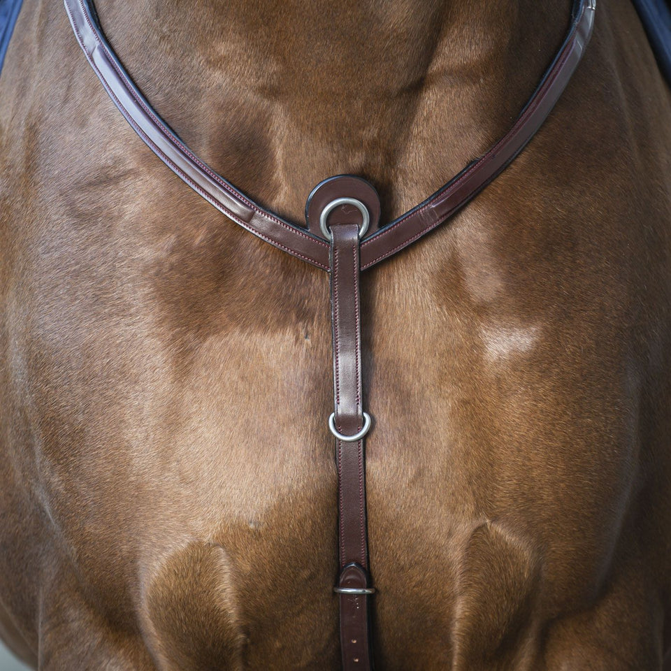 Dy'on New English Breastplate - Brown