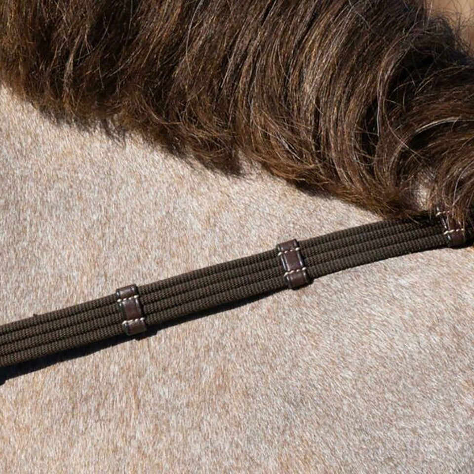 Dy'on Working Collection 5/8in Web Reins - Brown