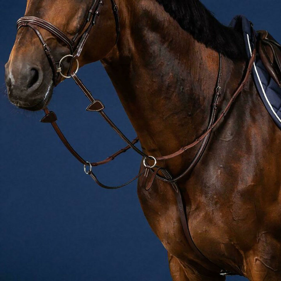 Dy'on US Collection Running Martingale - Brown