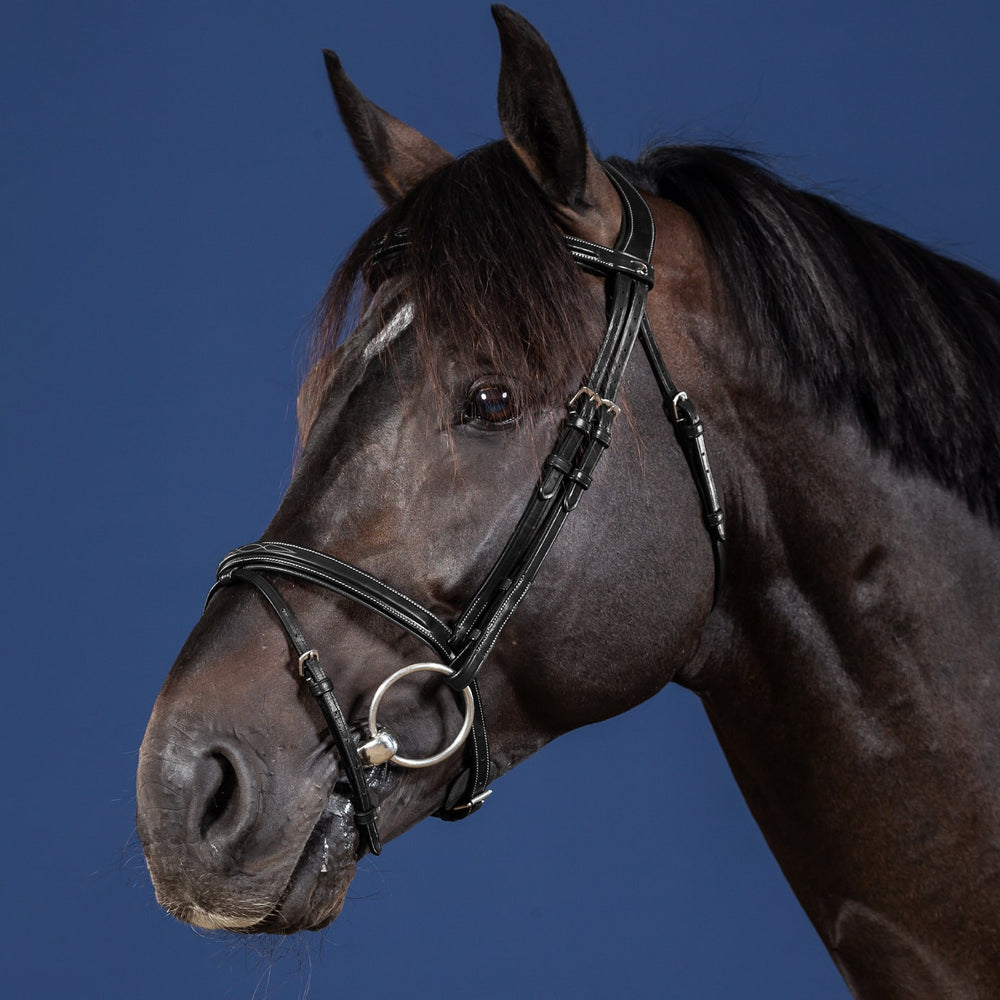 Dy'on US Collection Flash Noseband Bridle - Black & Equiport Equestrian