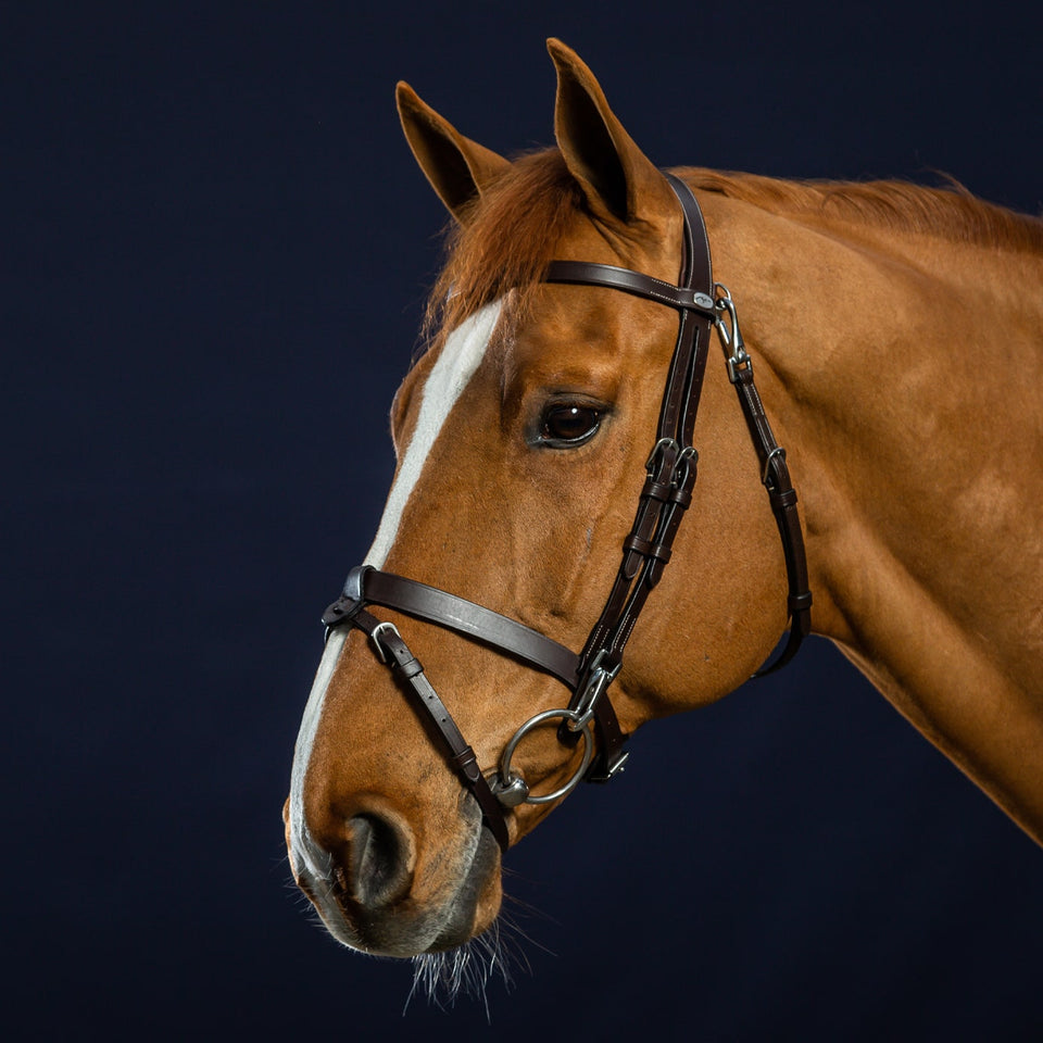 Dy'on Working Collection Flat Flash Noseband Bridle - Brown