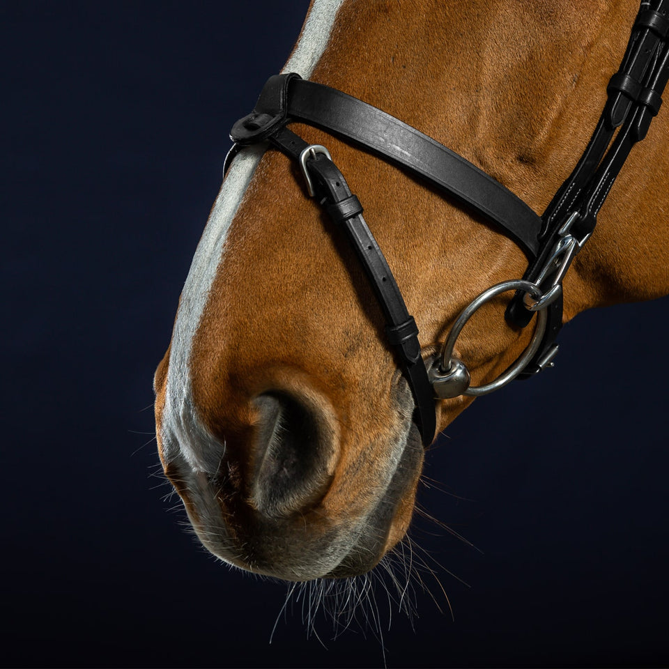Dy'on Working Collection Flat Flash Noseband Bridle - Black