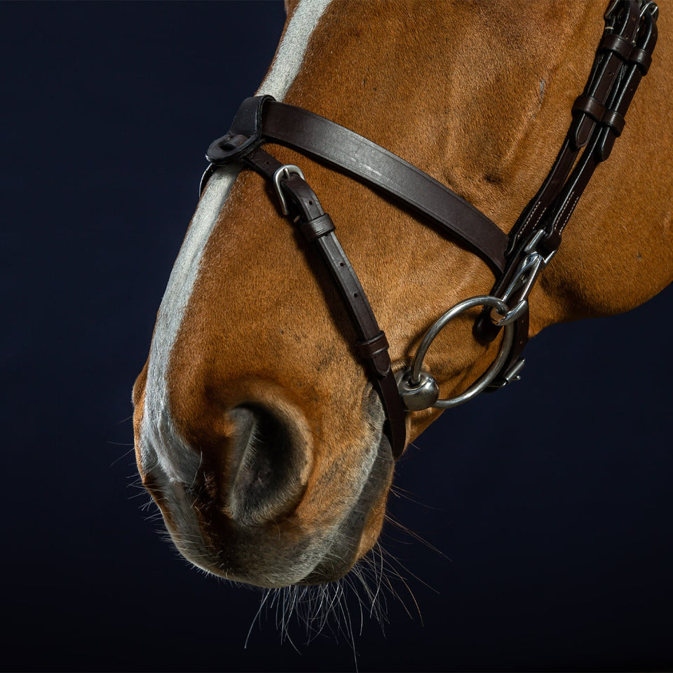 Dy'on Working Collection Flat Flash Noseband Bridle - Brown