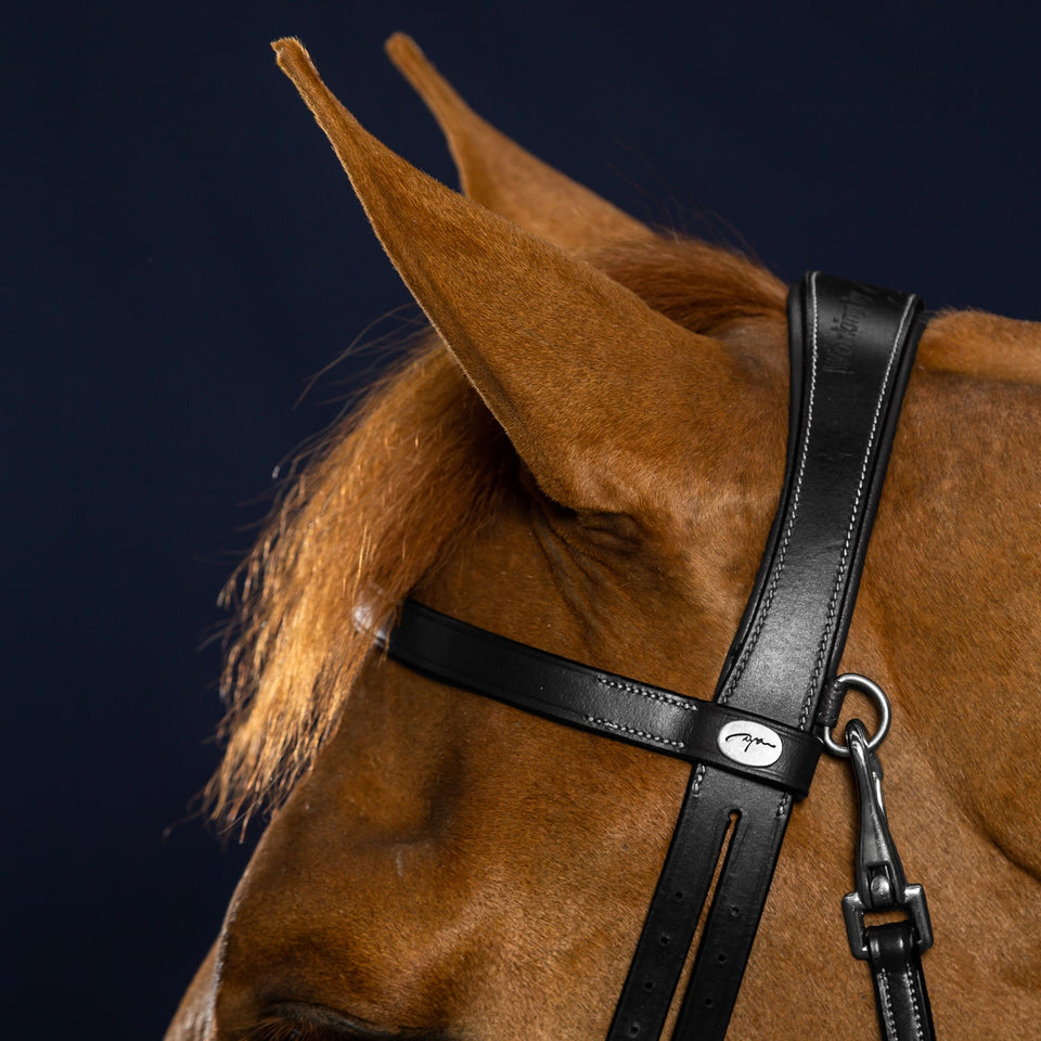 Dy'on Working Collection Flat Flash Noseband Bridle - Black