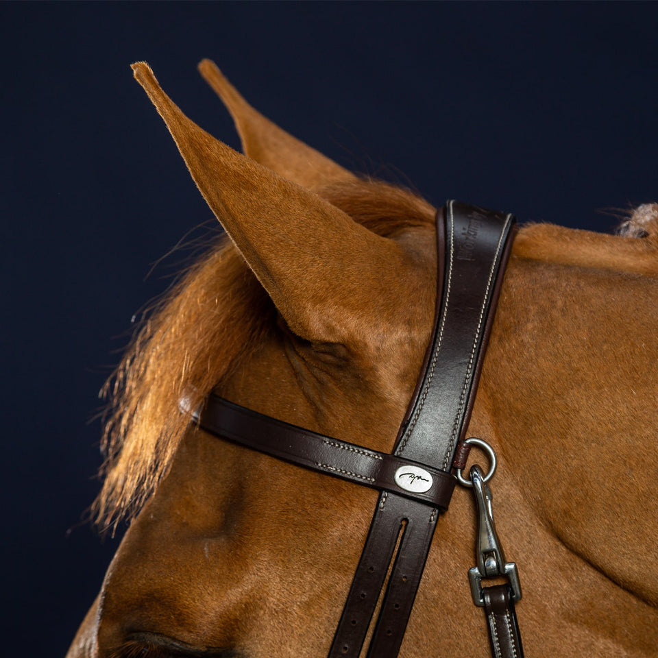 Dy'on Working Collection Flat Flash Noseband Bridle - Brown
