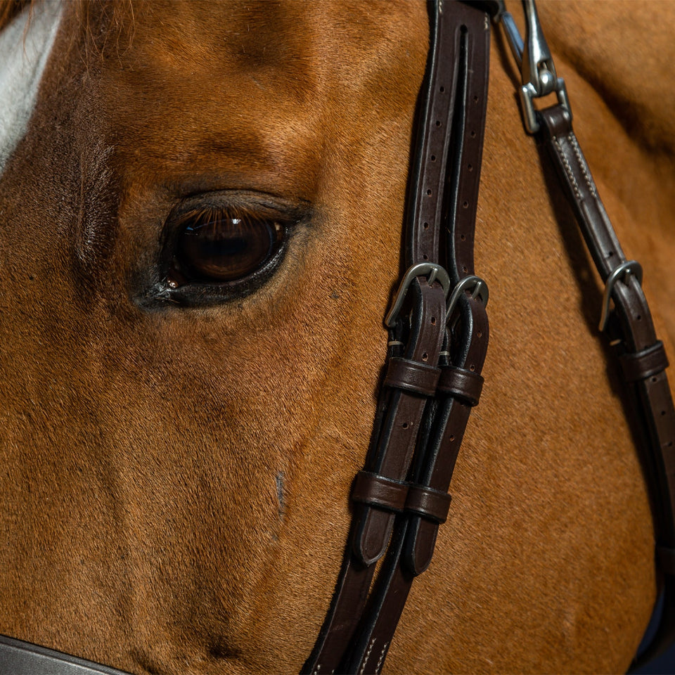 Dy'on Working Collection Flat Flash Noseband Bridle - Brown