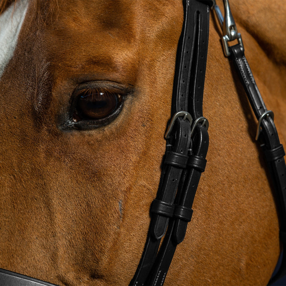 Dy'on Working Collection Flat Flash Noseband Bridle - Black