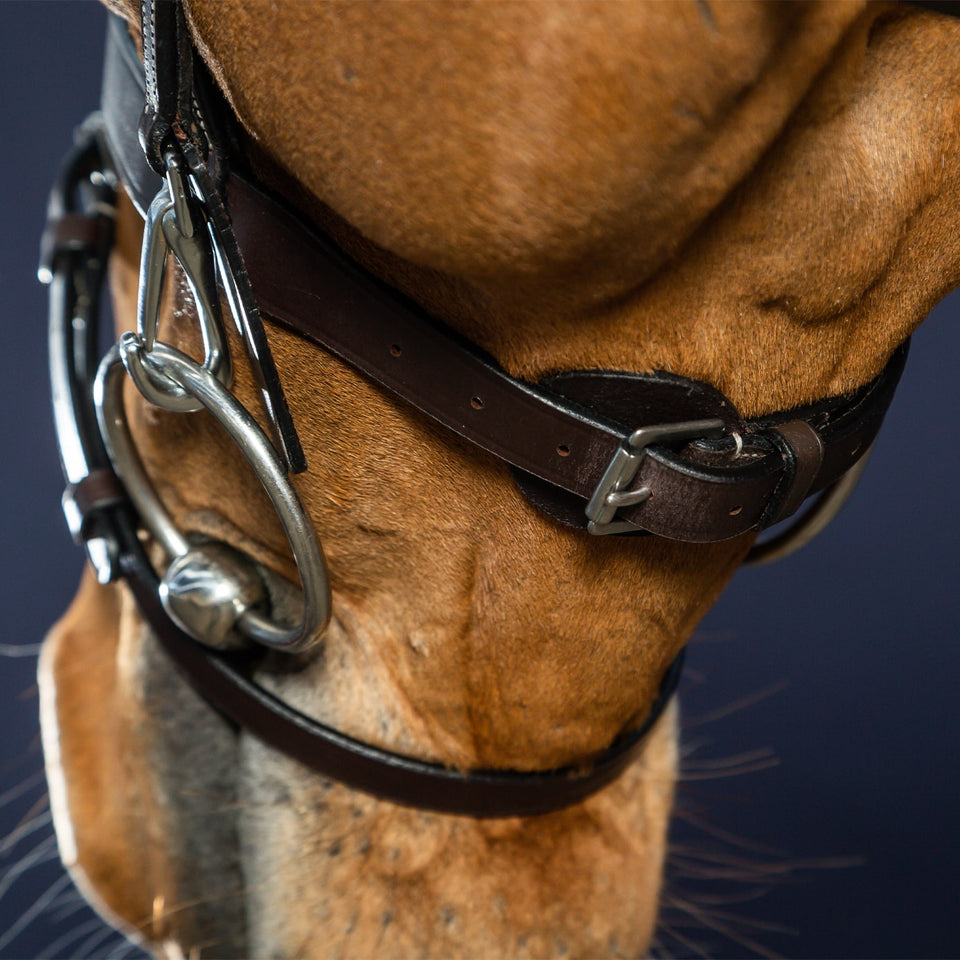 Dy'on Working Collection Flat Flash Noseband Bridle - Brown
