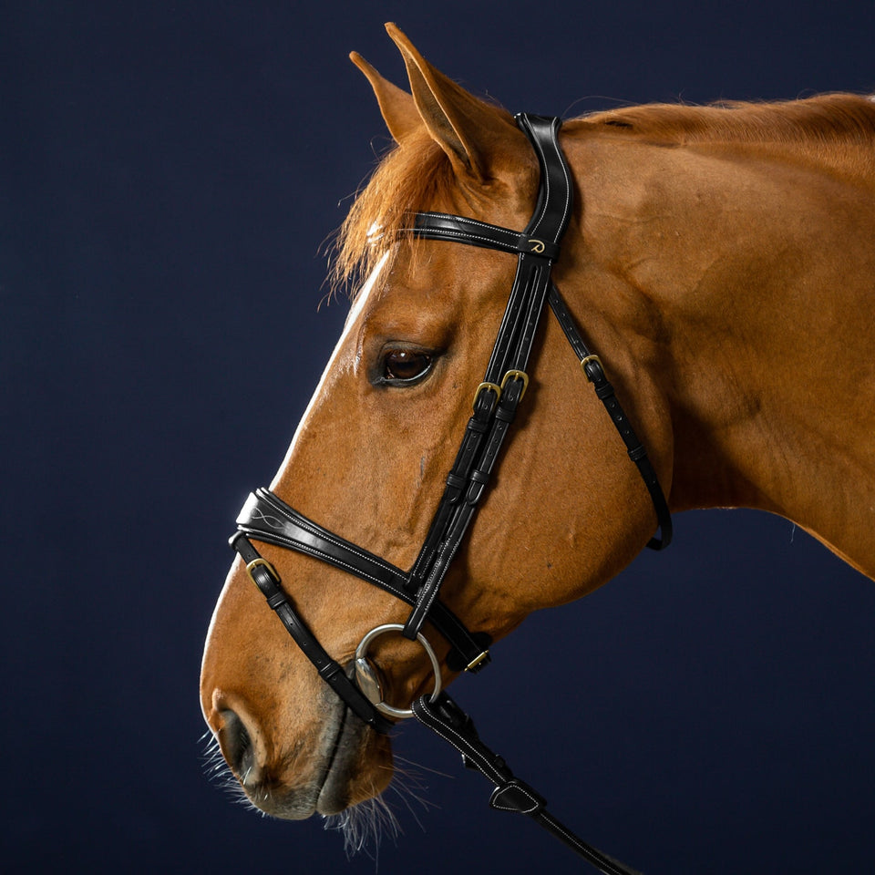 Dy'on D Collection Anatomic Flash Noseband Bridle - Black