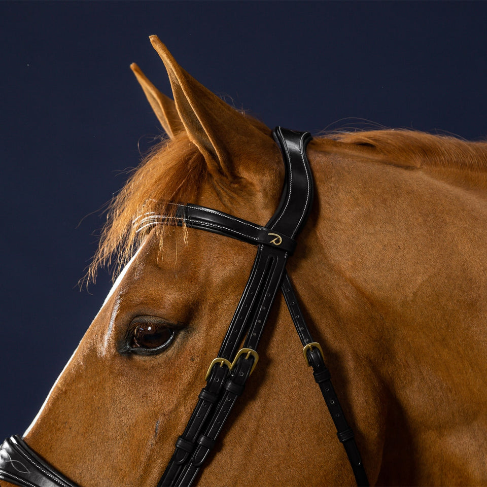 Dy'on D Collection Anatomic Flash Noseband Bridle - Black