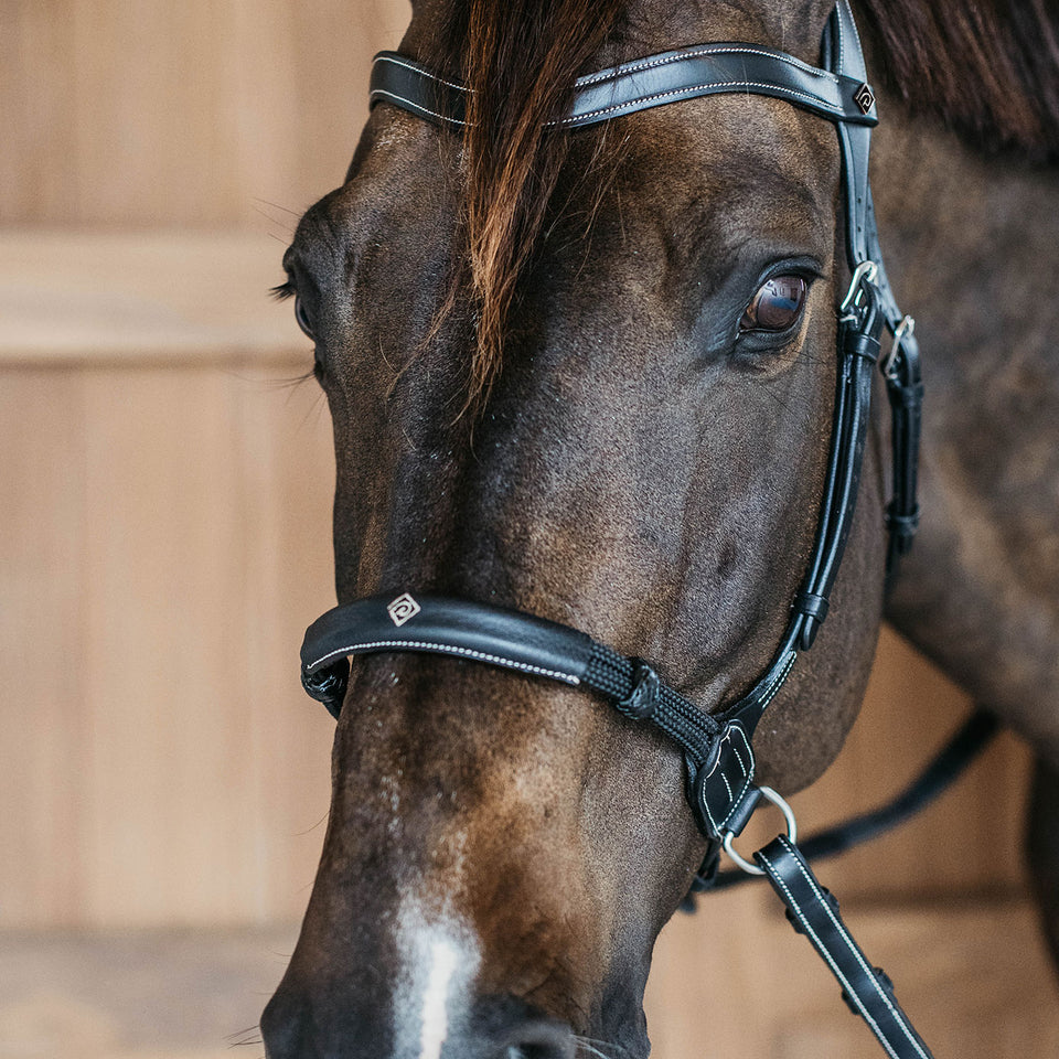 Dy'on Working Collection Bitless Bridle - Black