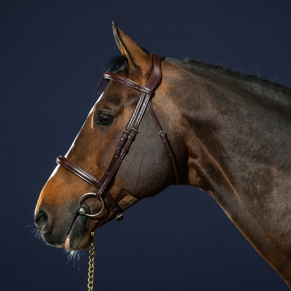 Dy'on New English Flash Noseband Bridle - Brown