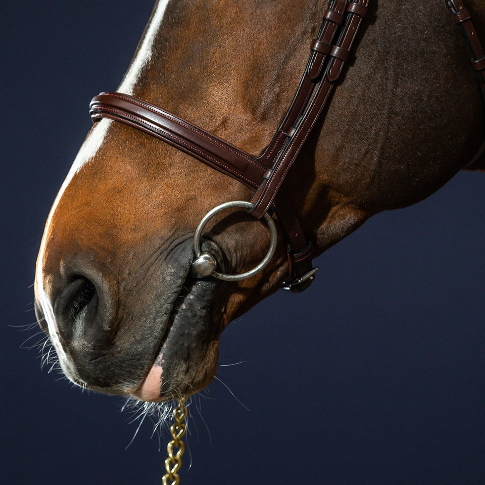 Dy'on New English Flash Noseband Bridle - Brown