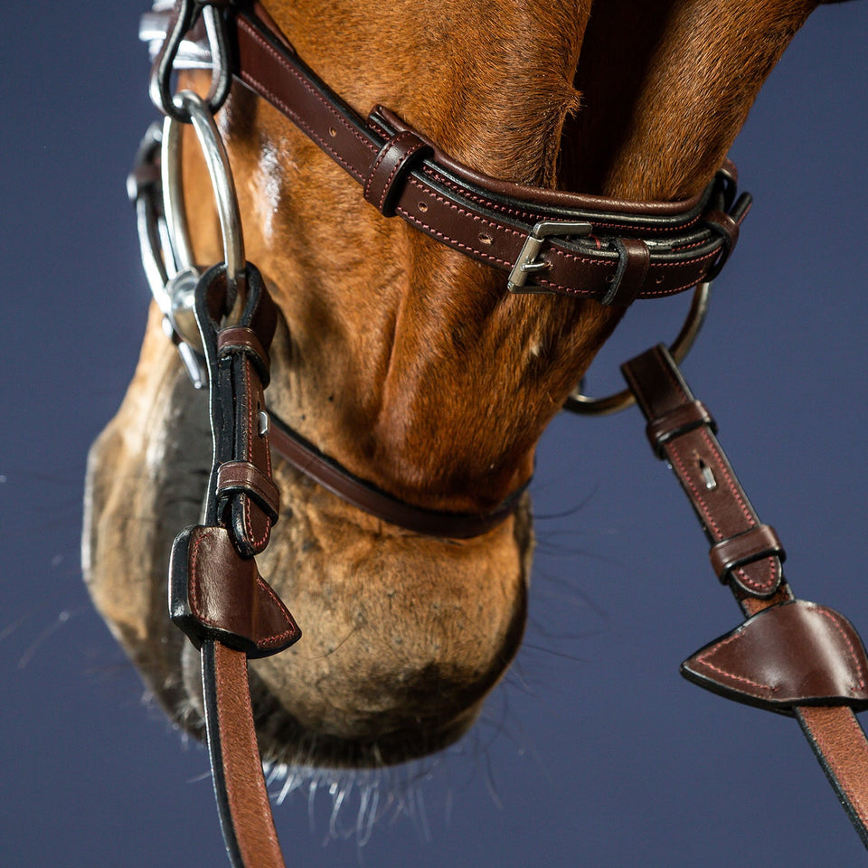 Dy'on New English Flash Noseband Bridle - Brown
