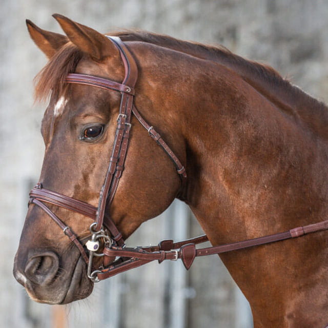 Dy'on New English Converter 1/2in Rubber Reins with 7 Leather Loops - Brown