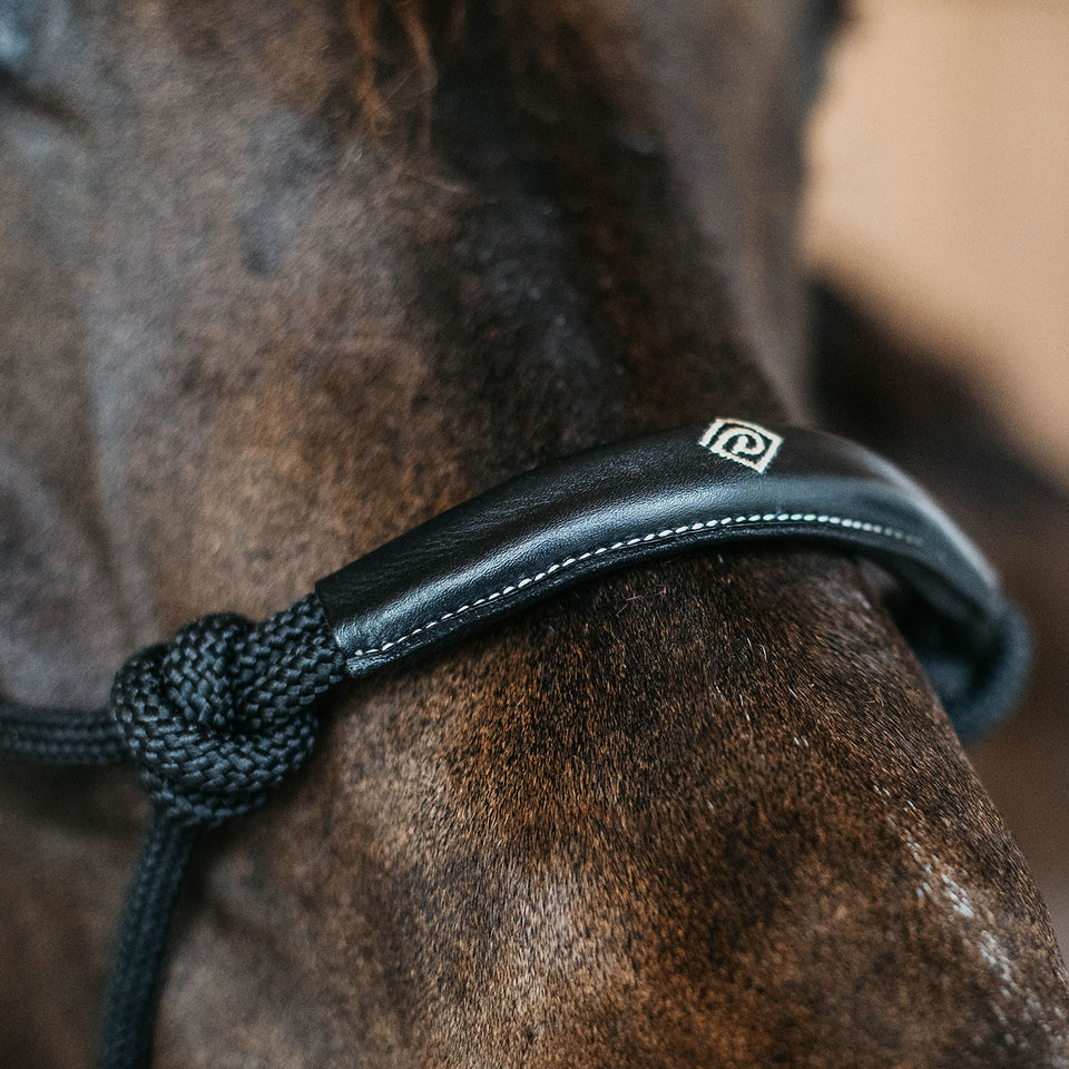 Dy'on Working Collection Training Halter - Black