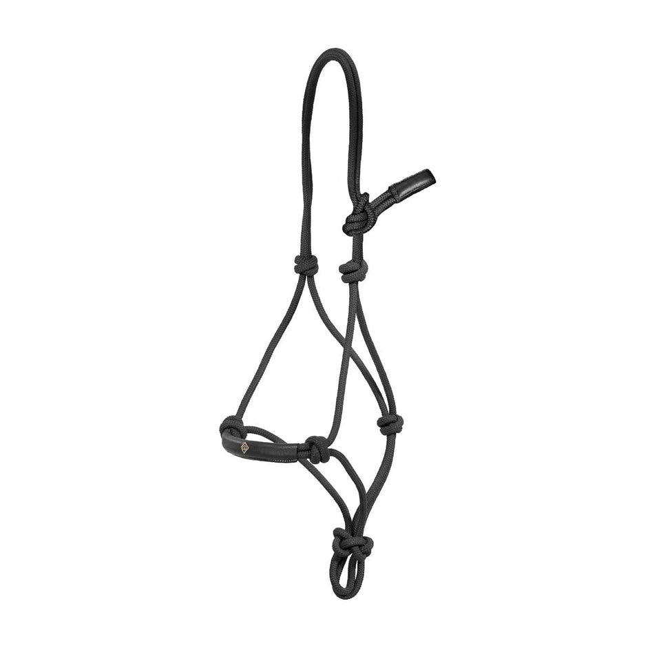 Dy'on Working Collection Training Halter - Black