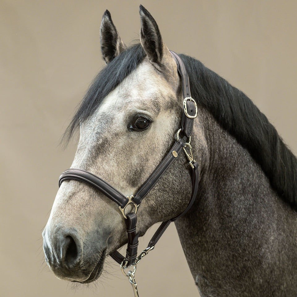 Dy'on Working Collection Soft Leather Headcollar - Black