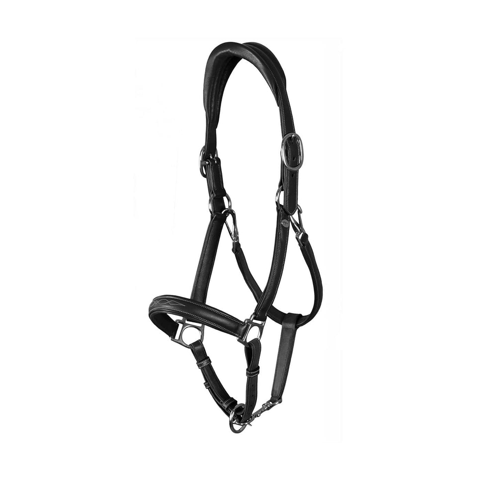 Dy'on Working Collection Soft Leather Headcollar - Black