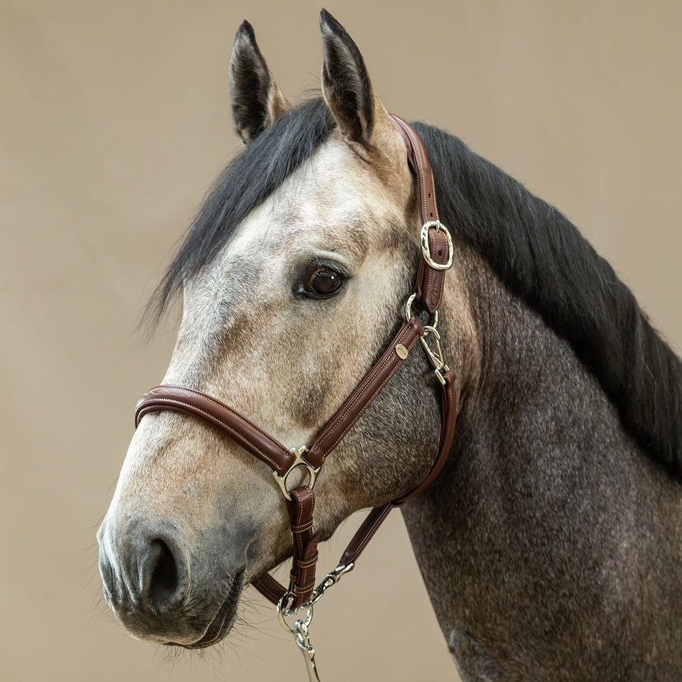 Dy'on Working Collection Soft Leather Headcollar - Brown