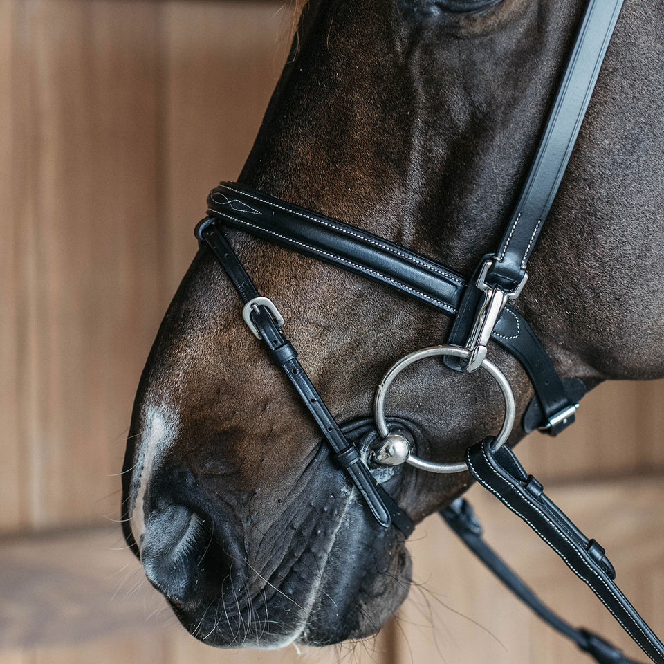 Dy'on Working Collection Training Bridle - Black