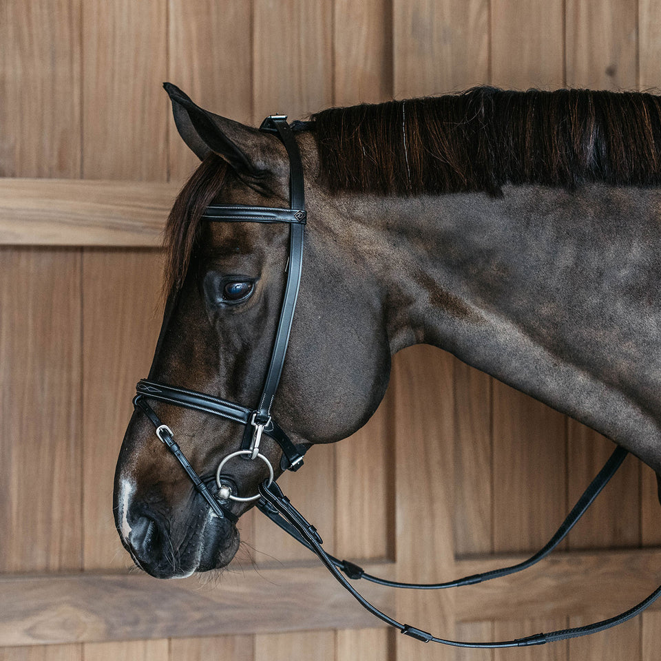Dy'on Working Collection Training Bridle - Black