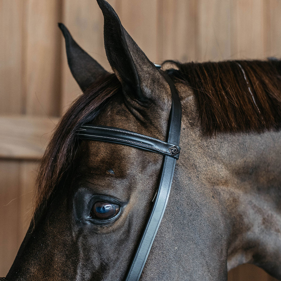 Dy'on Working Collection Training Bridle - Black