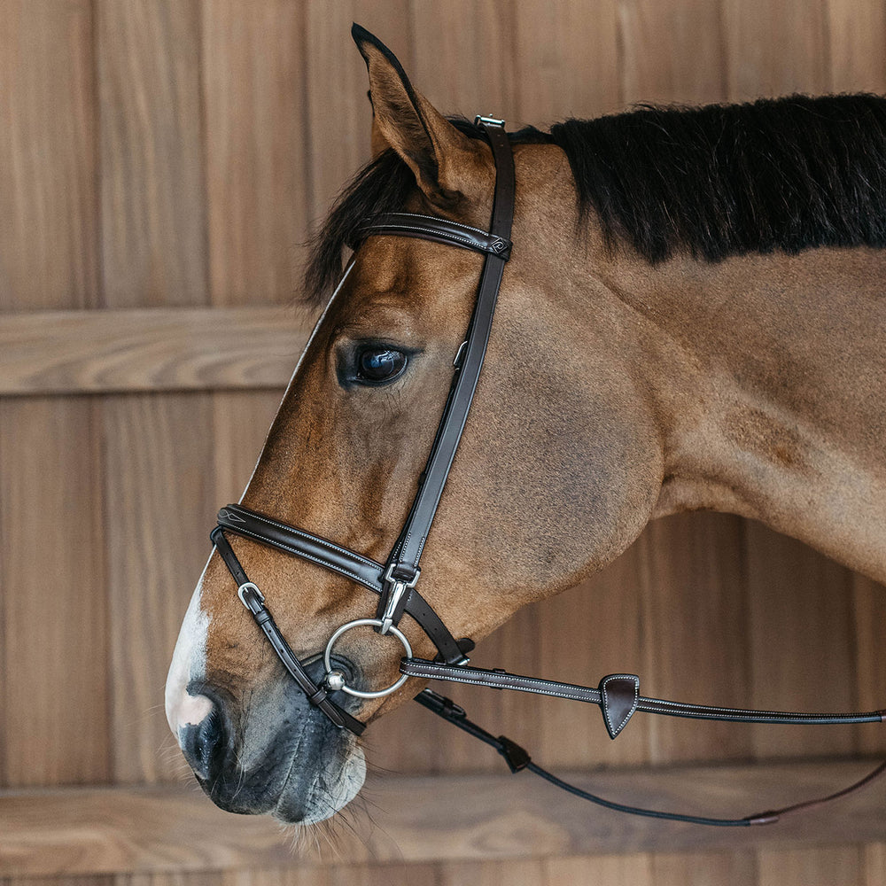 Dy'on Working Collection Training Bridle | Brown & Equiport Equestrian
