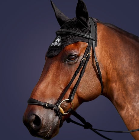 Dy'on Collection Drop Noseband Bridle B137