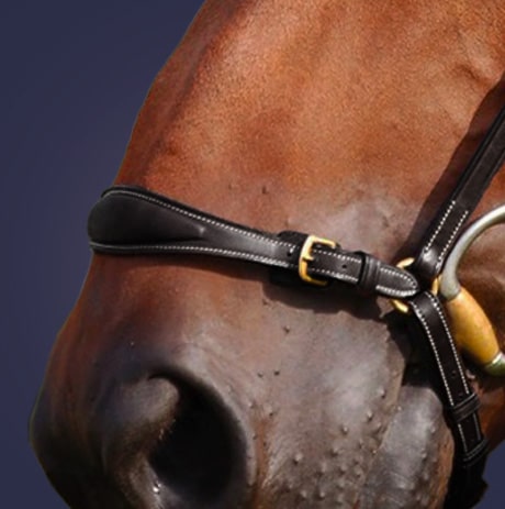 Dy'on Collection Drop Noseband Bridle B137