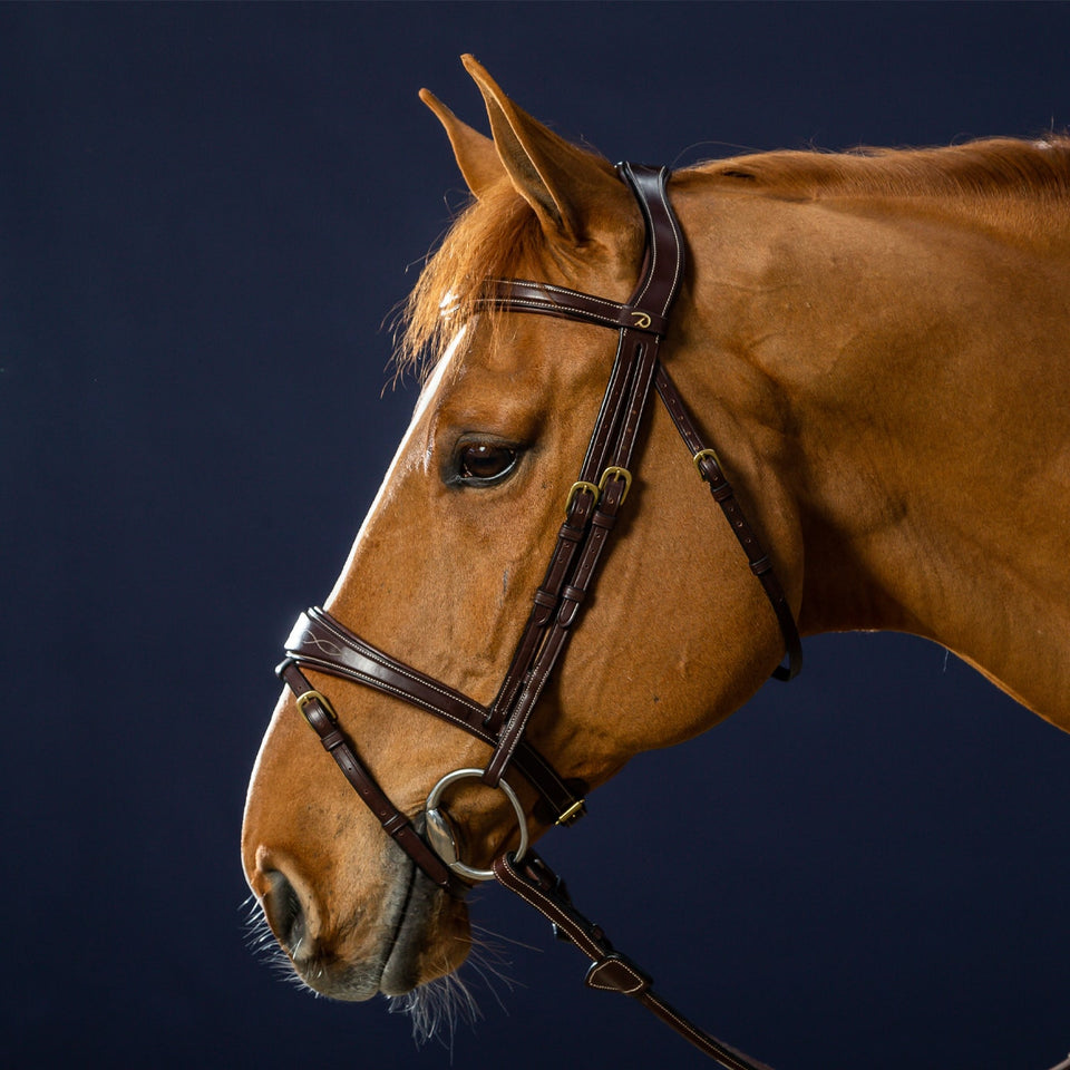 Dy'on D Collection Anatomic Flash Noseband Bridle - Brown