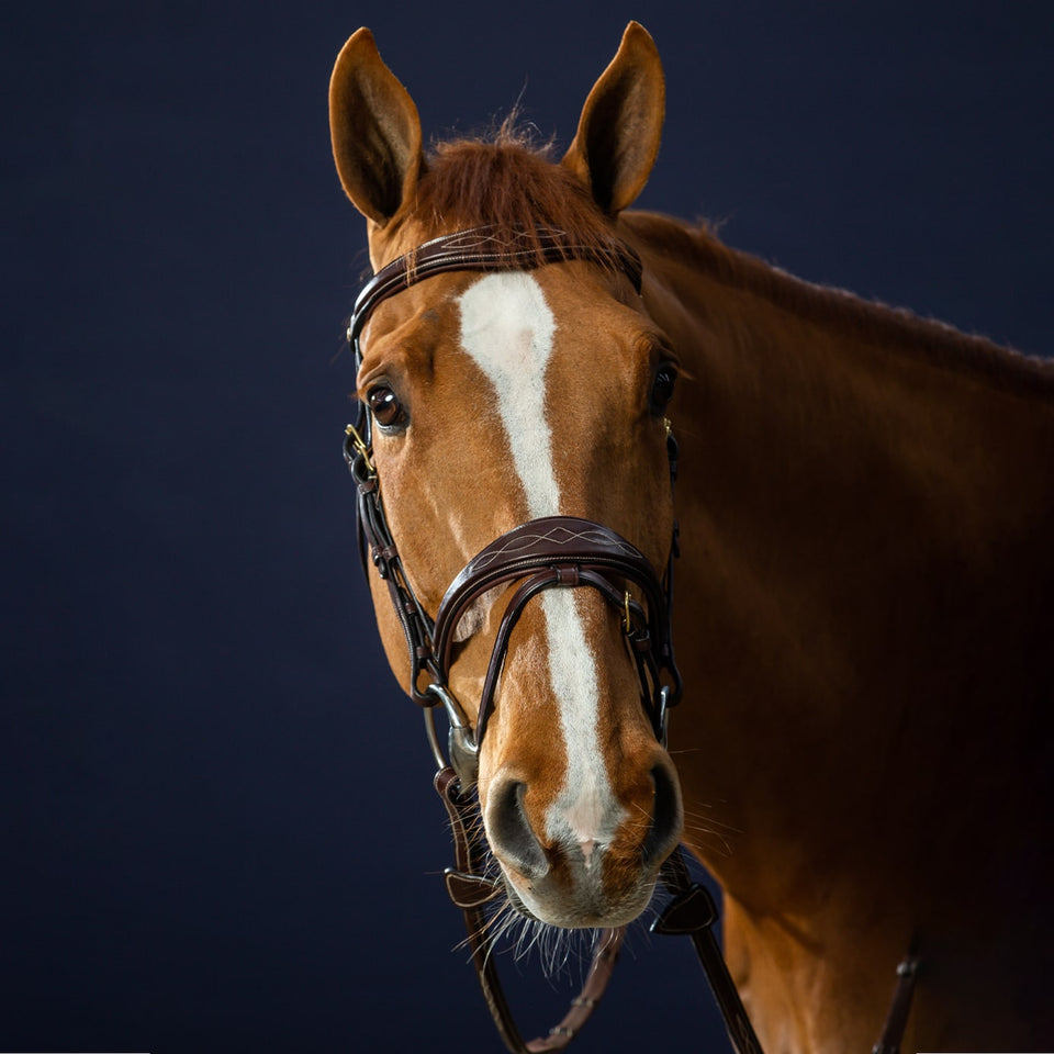 Dy'on D Collection Anatomic Flash Noseband Bridle - Brown