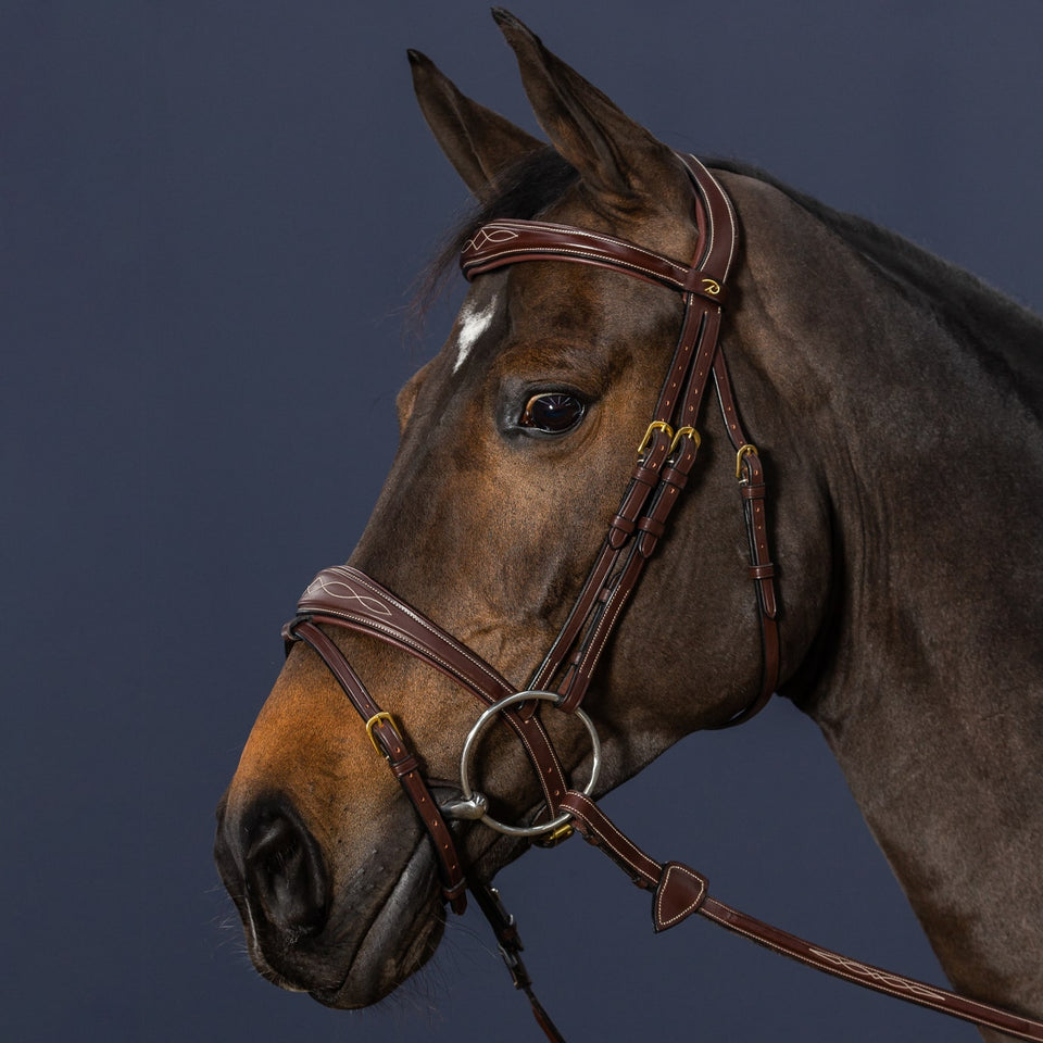 Dy'on D Collection Anatomic Flash Noseband Bridle - Brown