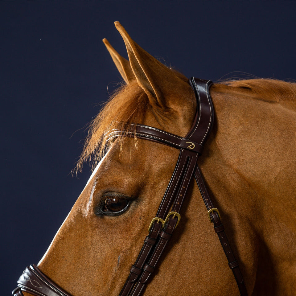 Dy'on D Collection Anatomic Flash Noseband Bridle - Brown