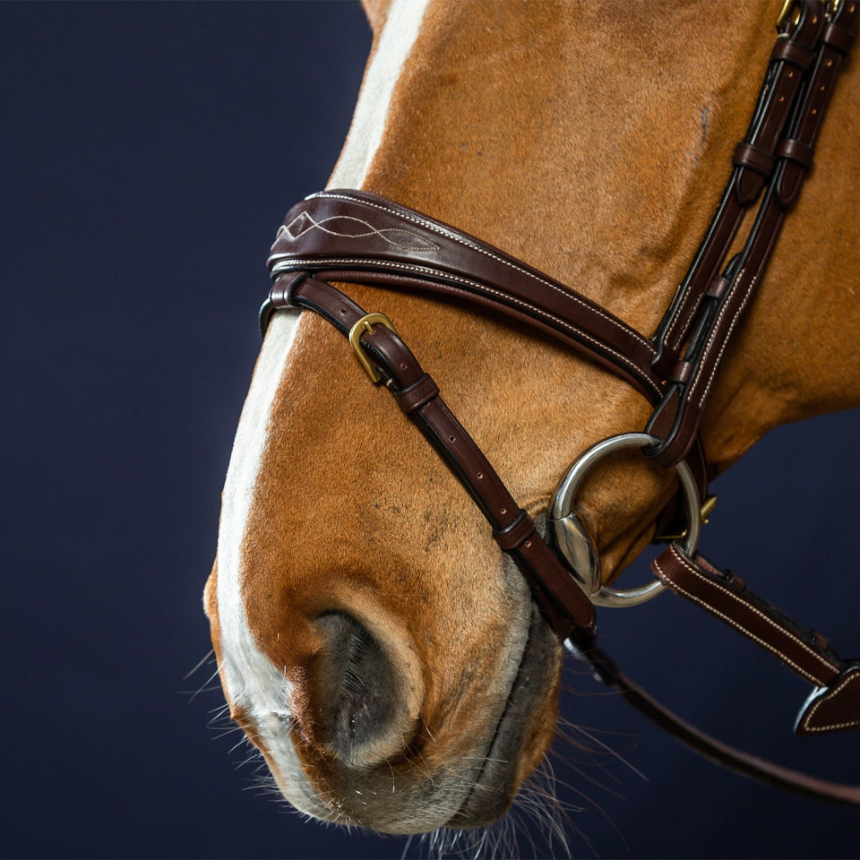 Dy'on D Collection Anatomic Flash Noseband Bridle - Brown